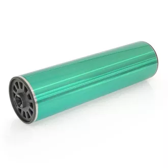 Ricoh B2469510 - optikai egység