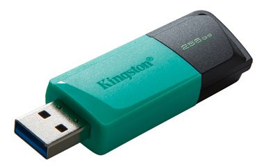 Kingston 256 GB USB3.2 Gen 1 DataTraveler Exodia M (fekete teal)